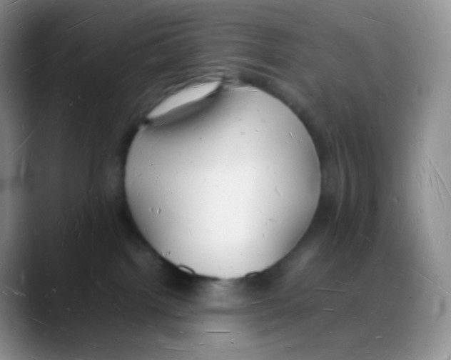X0000088070092200706081718