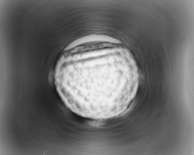 X0000088070094200706081718