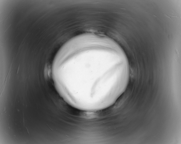 X0000088070095200706081718