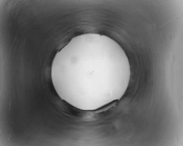 X0000088070096200706081718