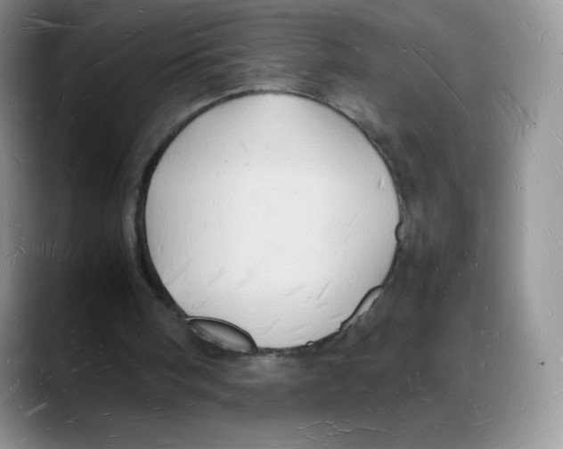 X0000088070098200706081717