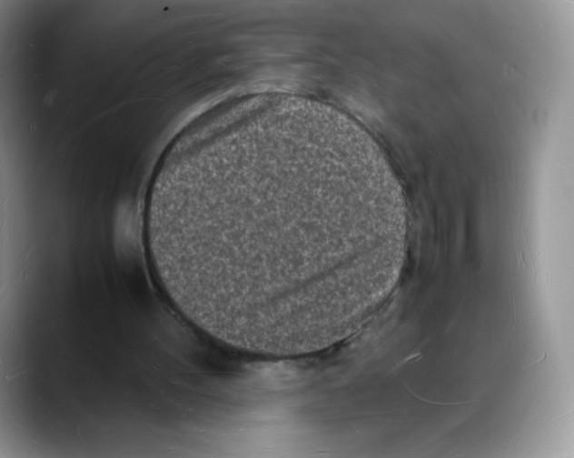 X0000088070100200706081717