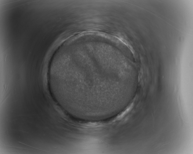X0000088070101200706081717