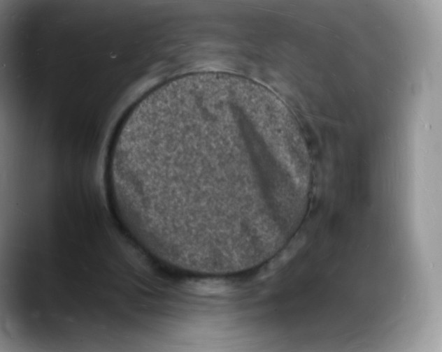 X0000088070104200706081717