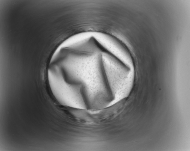 X0000088070105200706081717