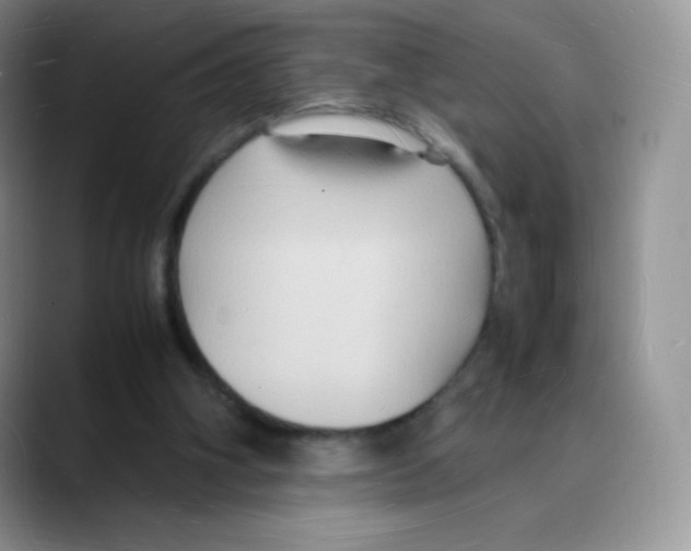 X0000088070106200706081717