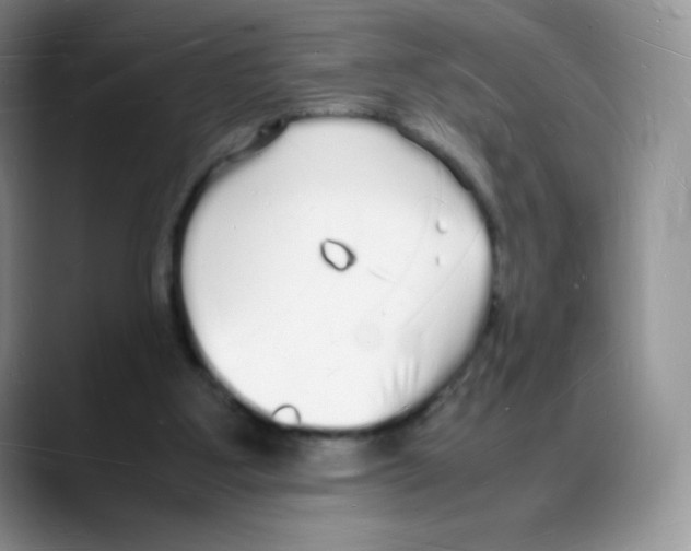 X0000088070107200706081717