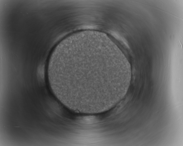 X0000088070108200706081717