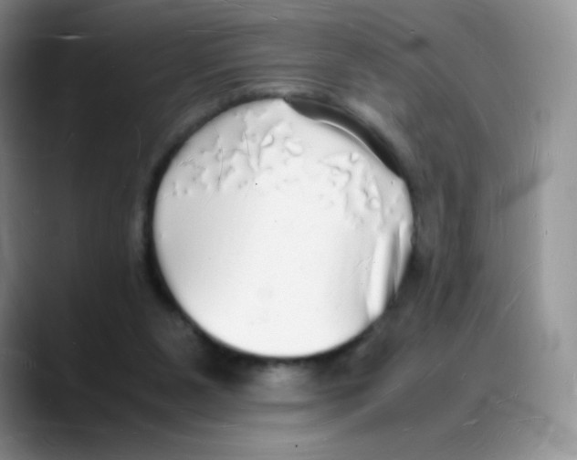 X0000088070111200706081717