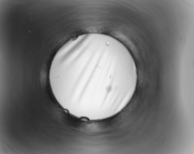 X0000088070113200706081717