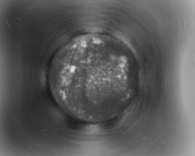 X0000088070114200706081717