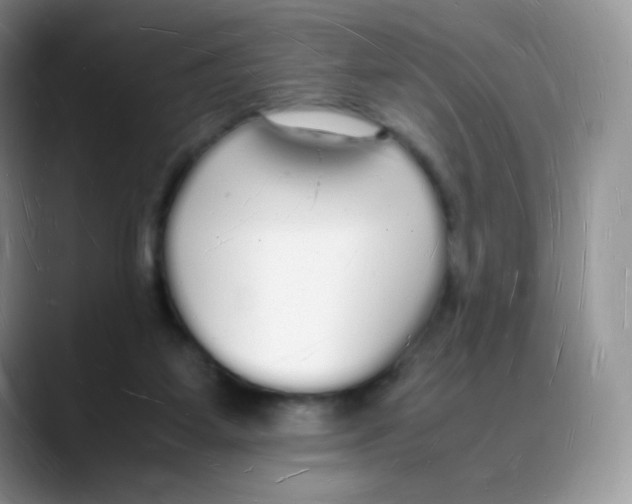 X0000088070115200706081717