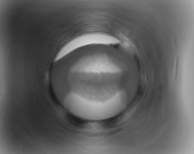 X0000088070117200706081717