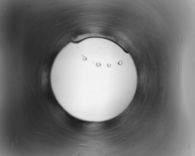 X0000088070122200706081717