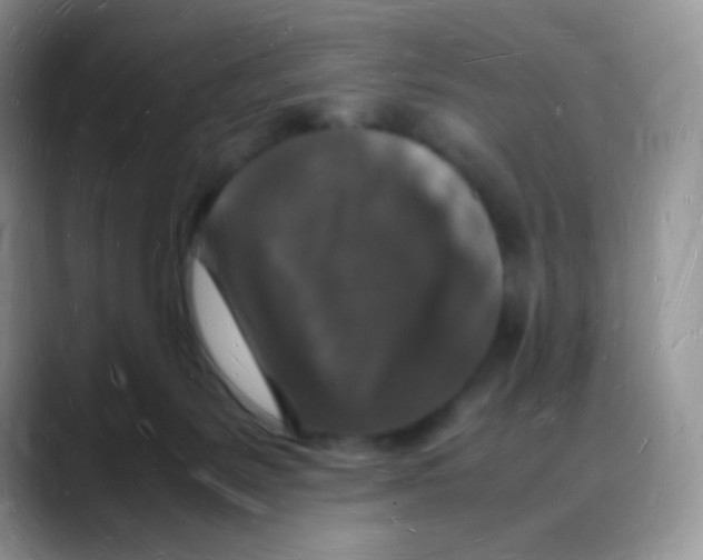 X0000088070127200706081717