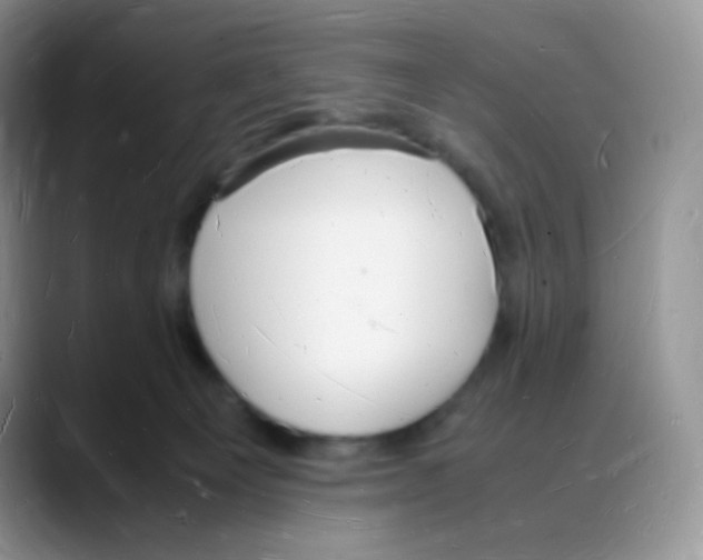 X0000088070129200706081717