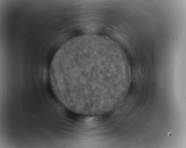 X0000088070130200706081717