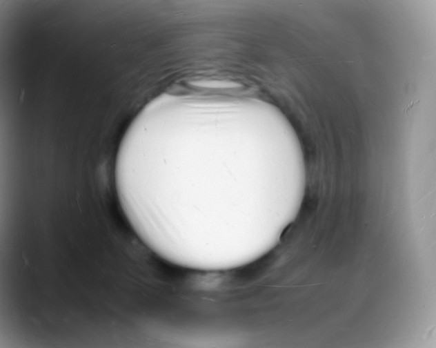 X0000088070131200706081717