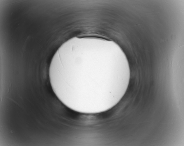 X0000088070133200706081717