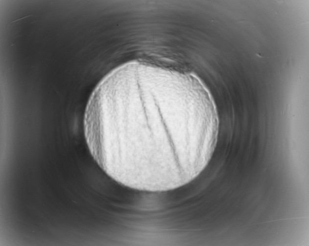 X0000088070134200706081717