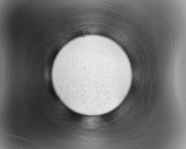 X0000088070135200706081717