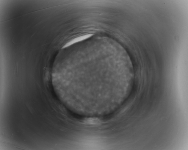 X0000088070137200706081717