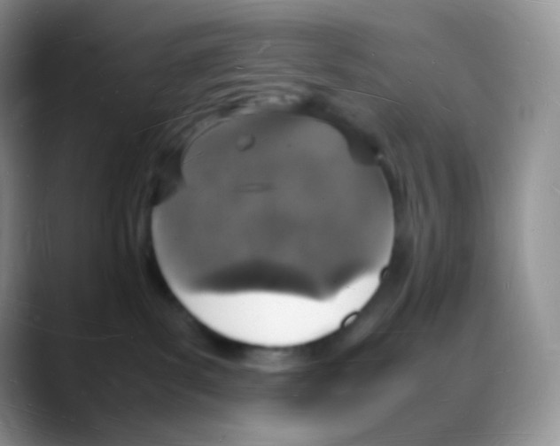 X0000088070139200706081717