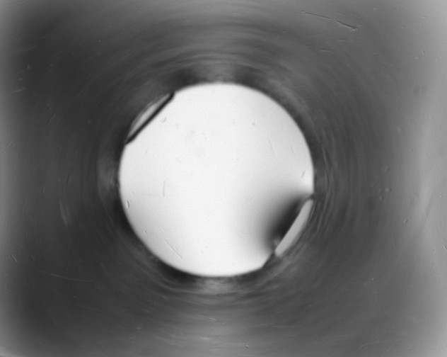 X0000088070141200706081717