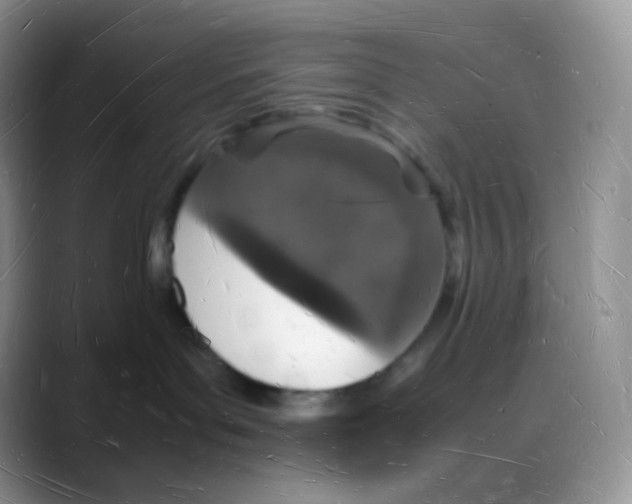 X0000088070143200706081717