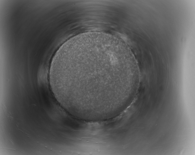 X0000088070146200706081716
