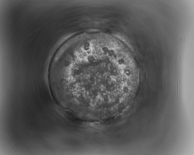 X0000088070147200706081716