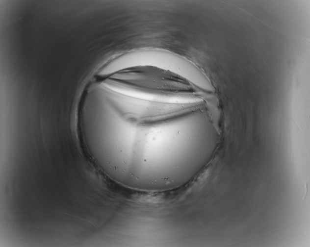 X0000088070148200706081716