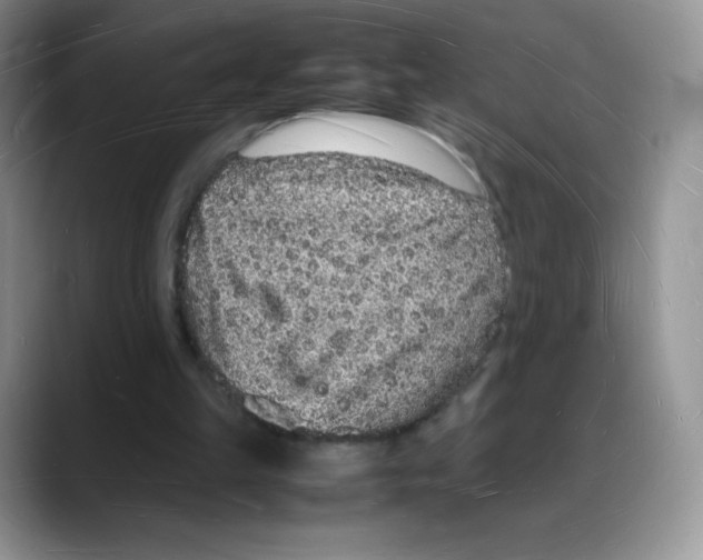 X0000088070149200706081716