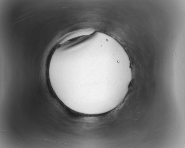 X0000088070150200706081716