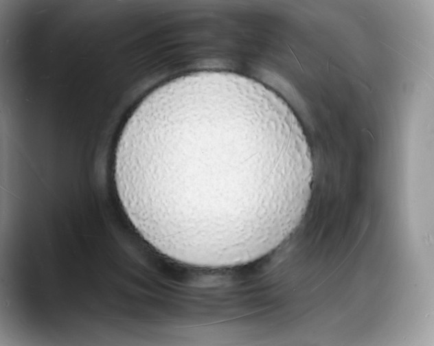 X0000088070155200706081716
