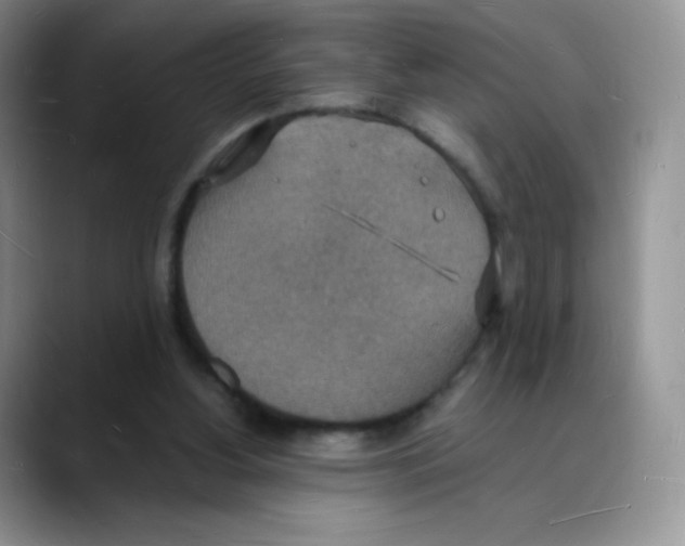 X0000088070156200706081716
