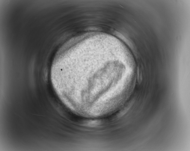 X0000088070157200706081716
