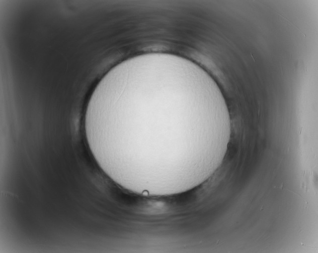 X0000088070159200706081716