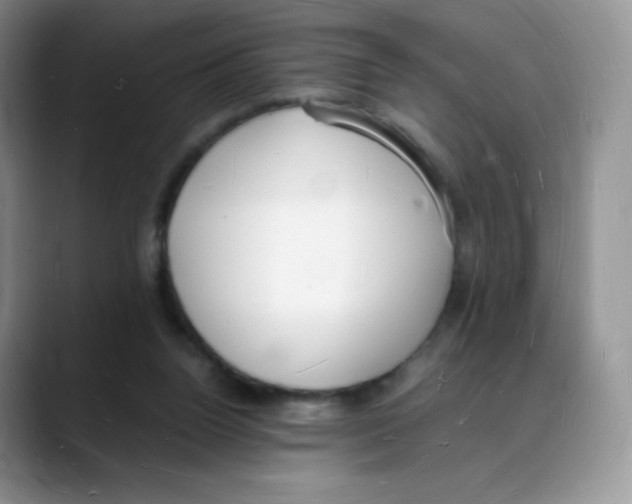 X0000088070160200706081716