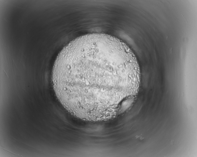 X0000088070161200706081716