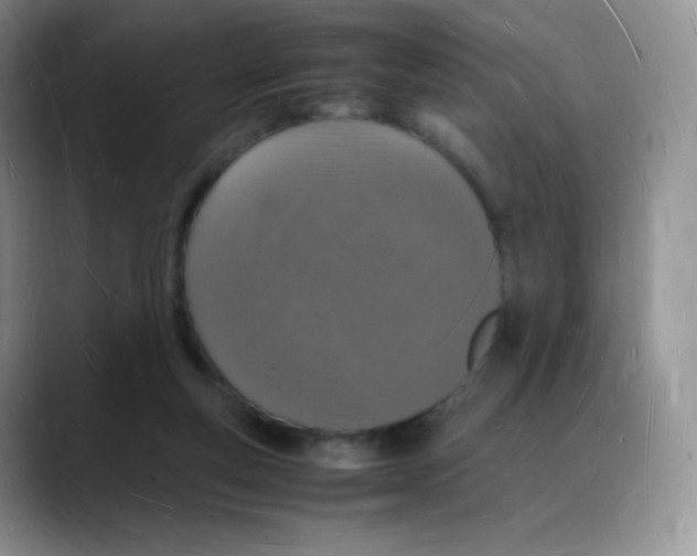 X0000088070163200706081716