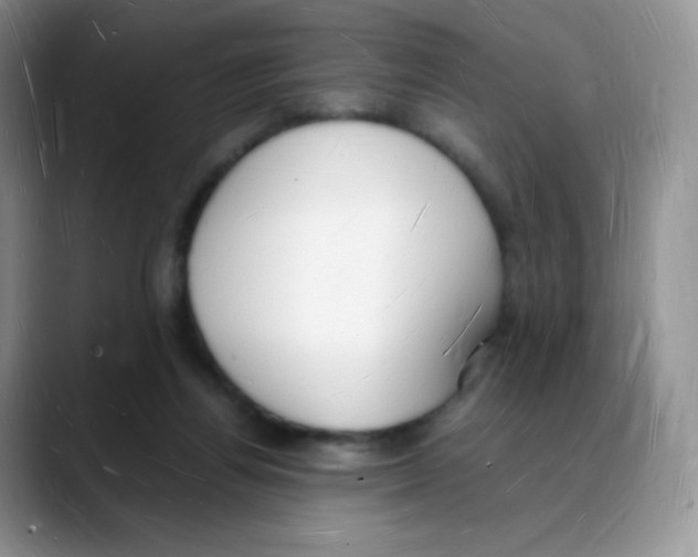 X0000088070164200706081716