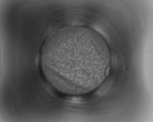 X0000088070165200706081716