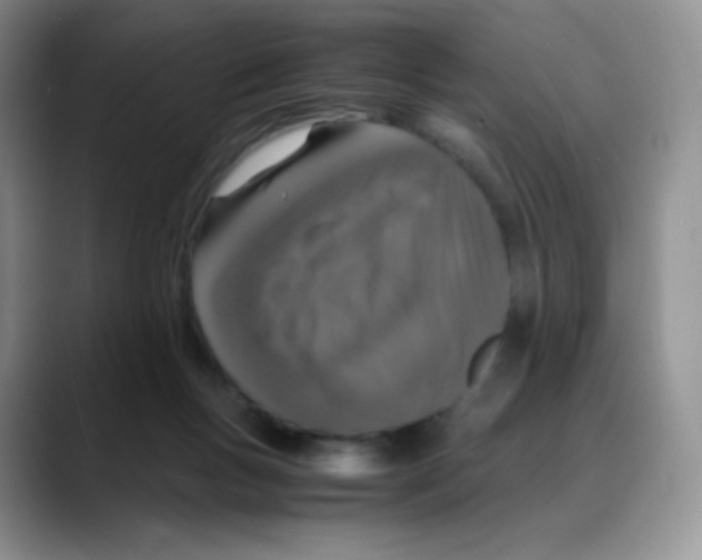 X0000088070167200706081717
