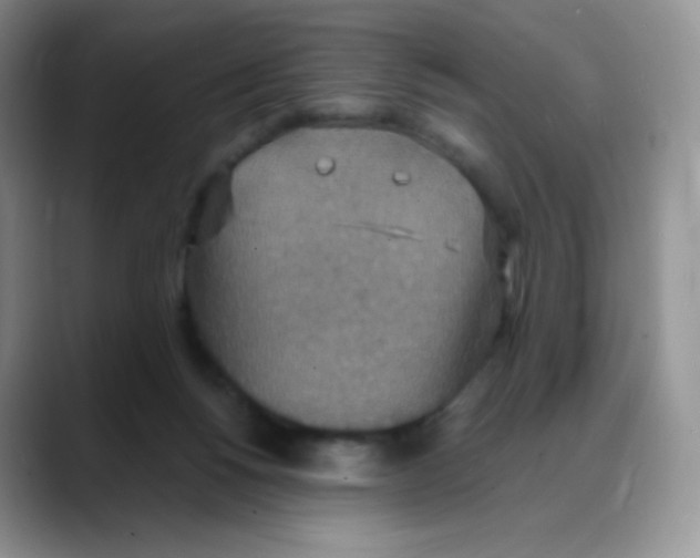 X0000088070168200706081717