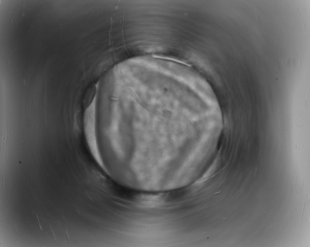 X0000088070170200706081717