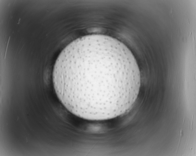 X0000088070171200706081717