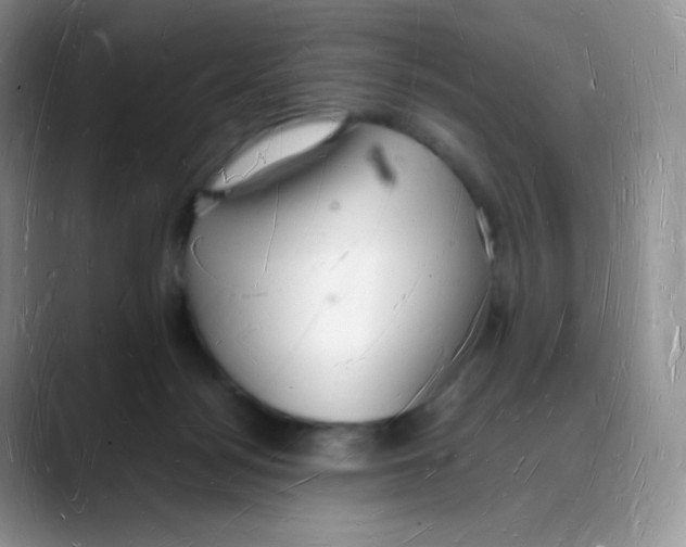 X0000088070172200706081717
