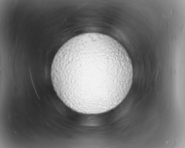 X0000088070173200706081717