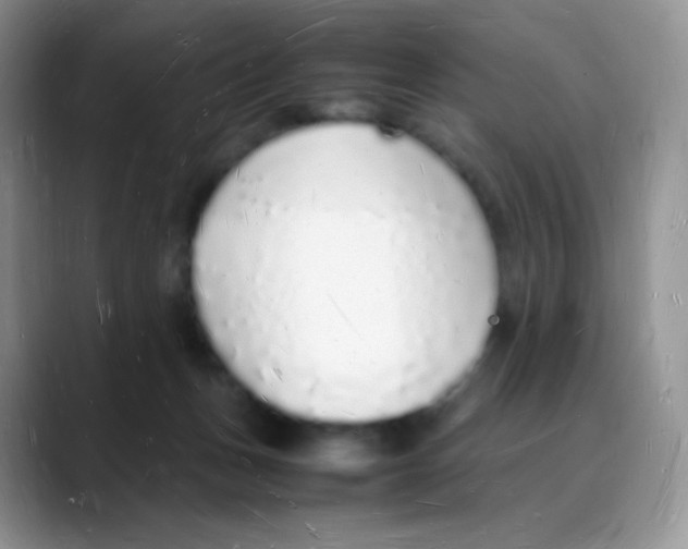 X0000088070175200706081717